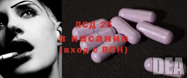 стафф Арсеньев