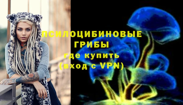 не бодяженный Аркадак